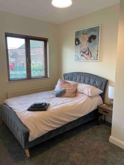 Close To Belfast City Centre.Modern Opened Planned Esterno foto
