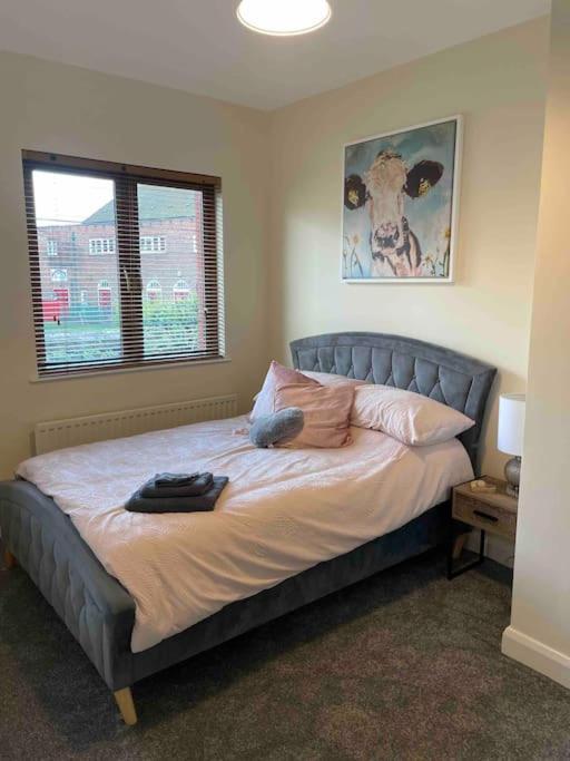 Close To Belfast City Centre.Modern Opened Planned Esterno foto